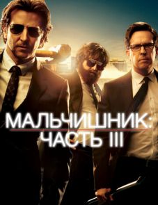 Мальчишник: Часть III (2013)