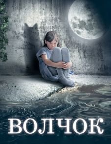 Волчок (2009) – постер фильма