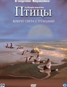 Птицы (2001) – постер фильма