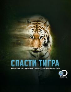 Спасти тигра (2019)