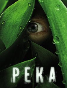 Река (2012)