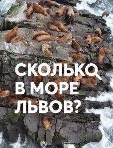 Сколько в море львов? (2018) – постер фильма